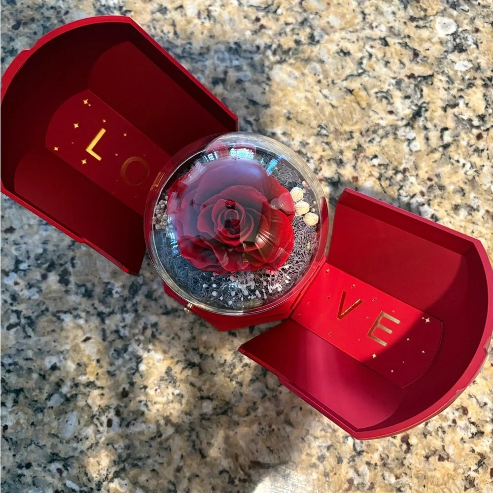 🌹Preserved Lighted Rose Box with Necklace